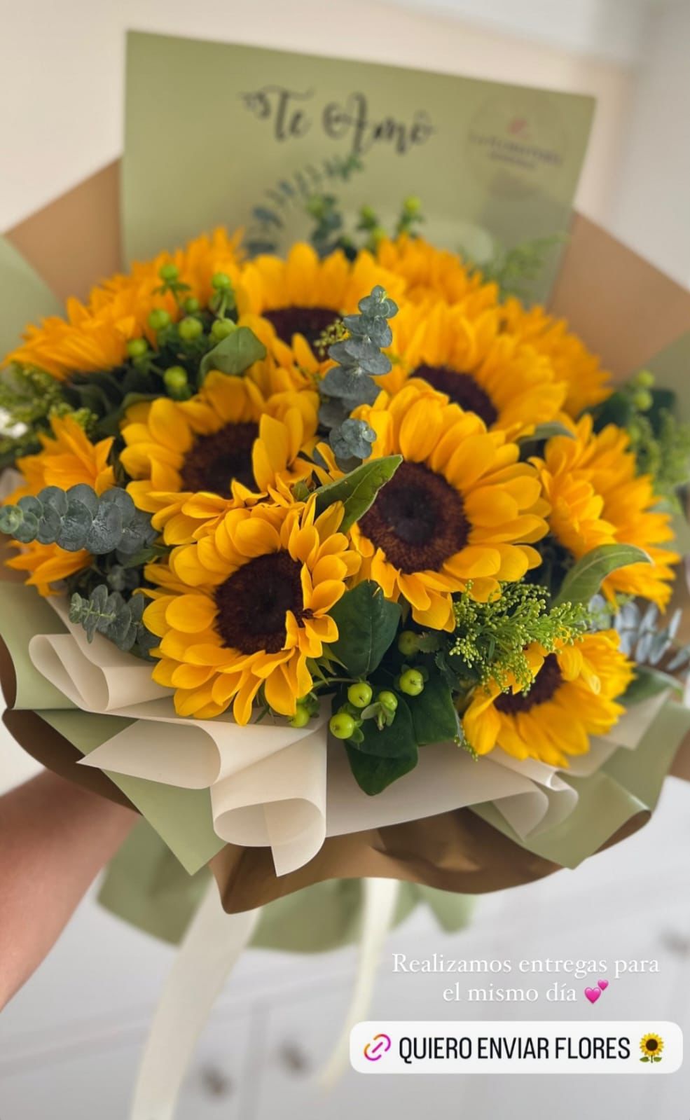 Girasoles