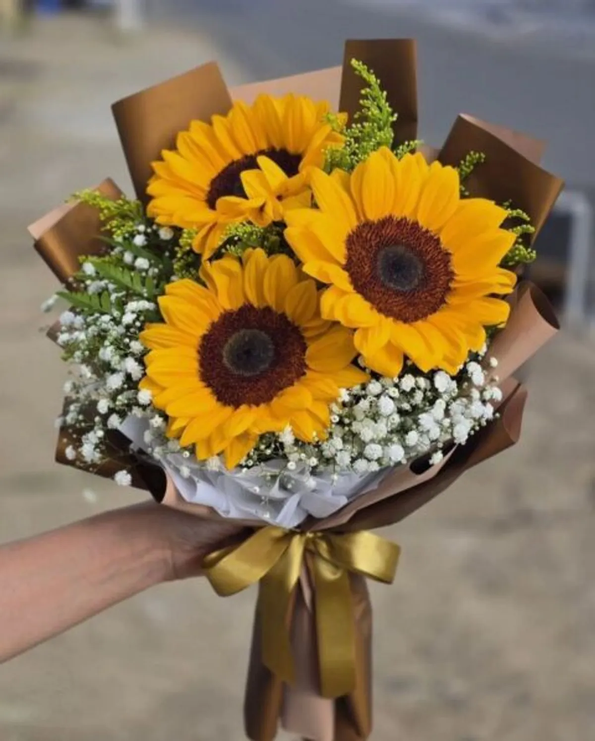 Bosque de Girasoles
