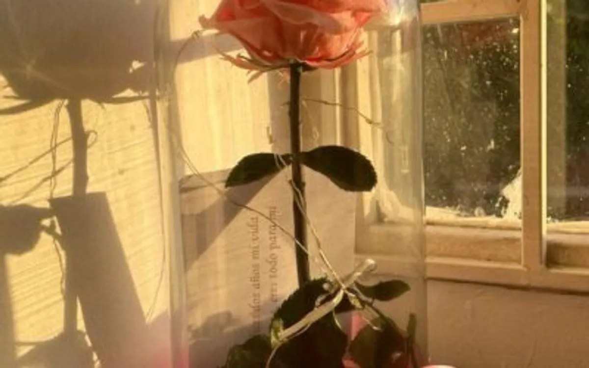 Rosa Preservada con Luces LED