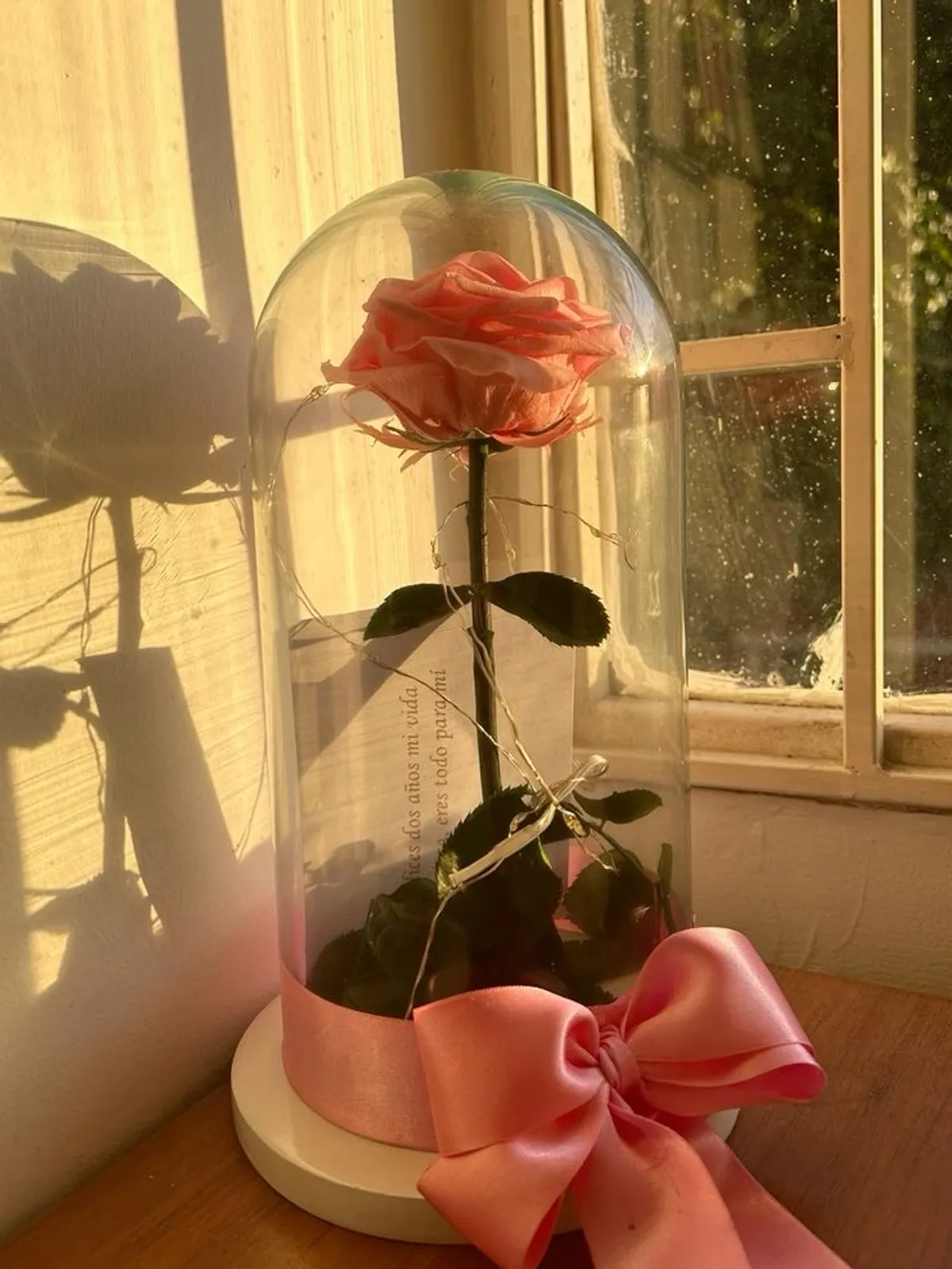 Rosa preservada con luces